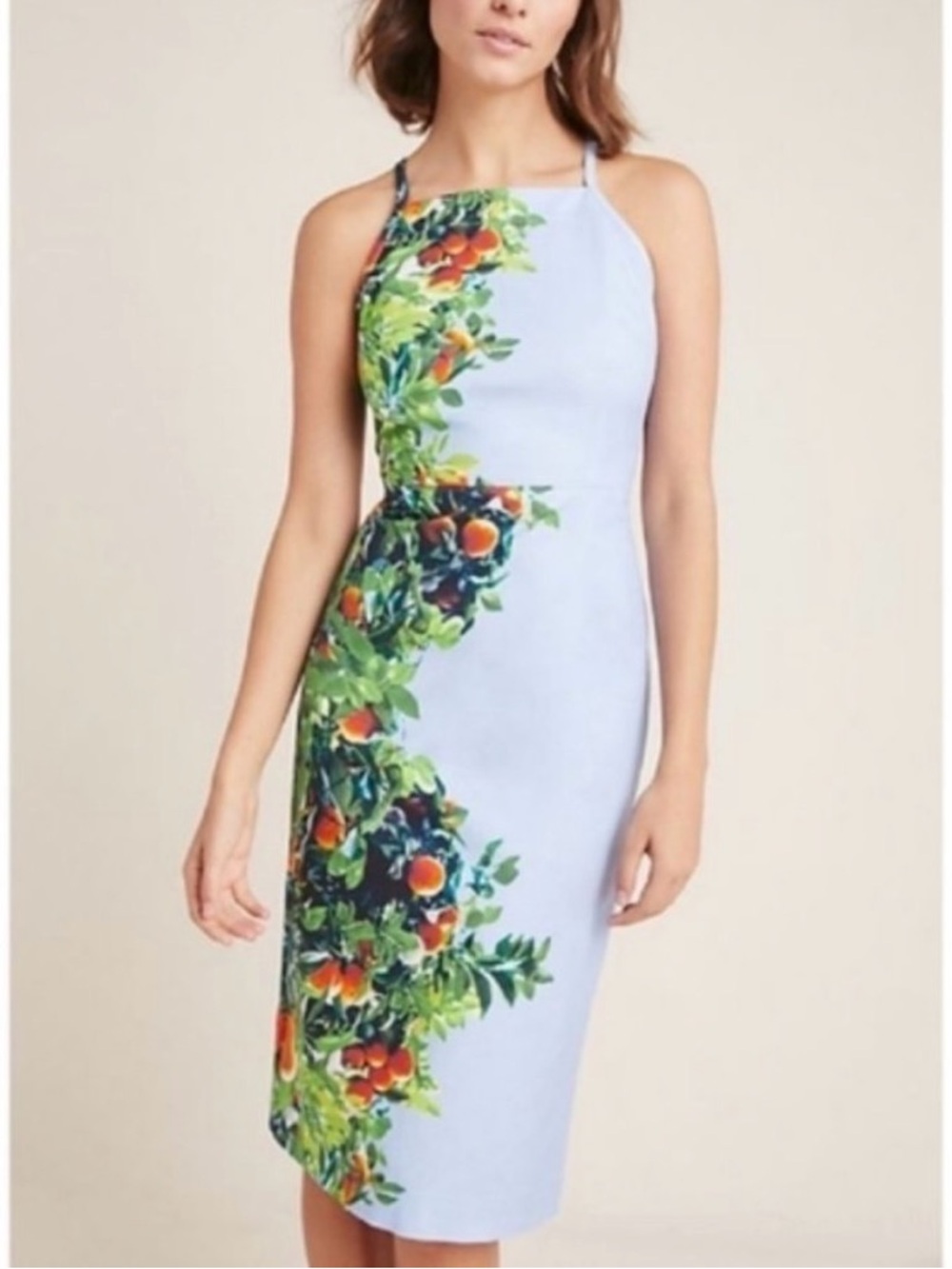Anthropologie Maeve Orange Bough Blue Citrus Grove Floral Print Midi Dress Sz 8